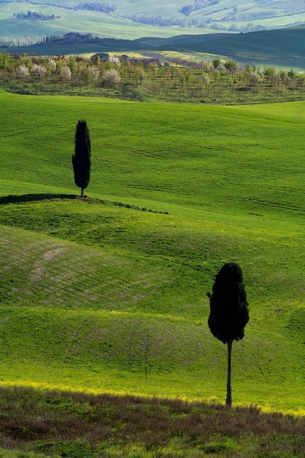 Villa Casa Costanza Castiglione dʼOrcia Exterior foto